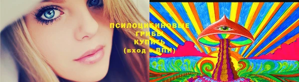 экстази Белокуриха