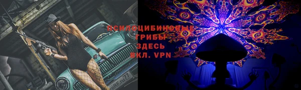 индика Белоозёрский