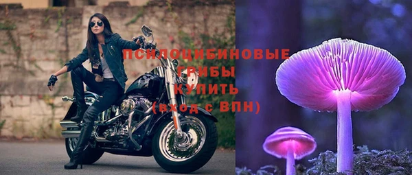 каннабис Беломорск