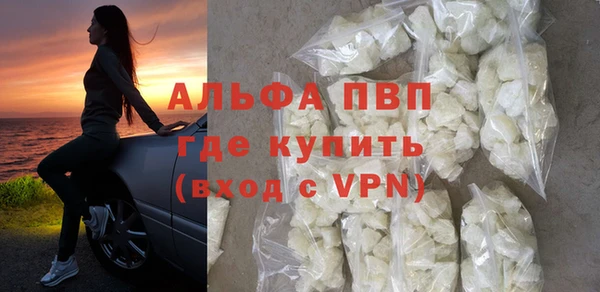 индика Белоозёрский